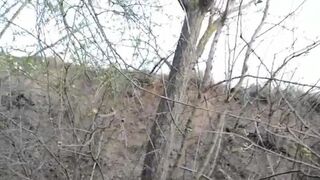 POO IN THE WOODS - video 3