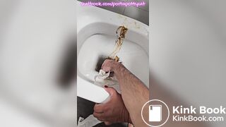 PLAYING WITH STRANGERS' SHIT IN PUBLIC TOILET