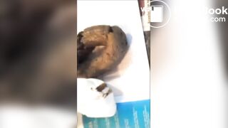 blond milf in front of guitar monster turd