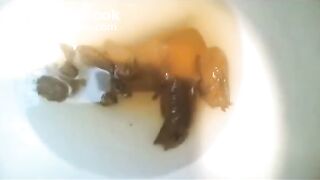 Big Ass Girl Shit Toilet