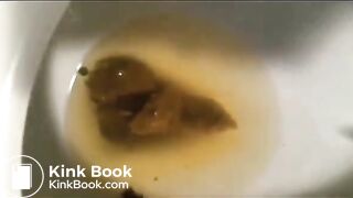Big Ass Girl Shit Toilet