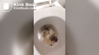 Dirty Girls Big Shitting Compilation