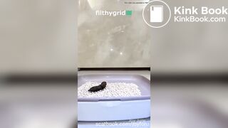 Farting and Pooping - video 204 (read the description)