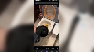 eat shit from toilet