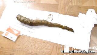 Longest turd - video 2