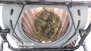 Japanese scat12
