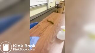 Teacher shits in classroom