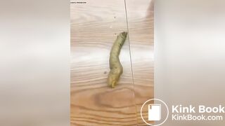 Teacher shits in classroom