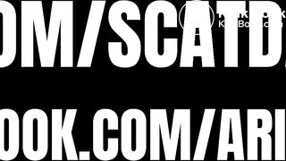 A day of wild inspiration