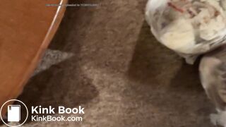 Eleven StInky Sacks 9_19