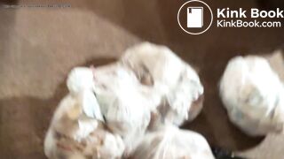 Eleven StInky Sacks 9_19