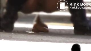 japanese outdoor pooping - video 12