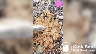 Soft shit at music festival