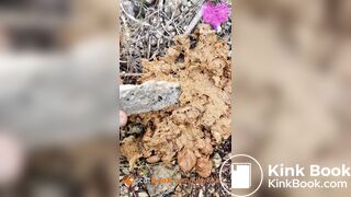 Soft shit at music festival