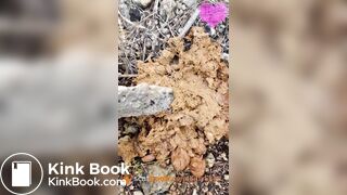 Soft shit at music festival