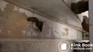 A delicious mountain of poop to pick