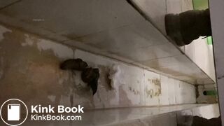 A delicious mountain of poop to pick