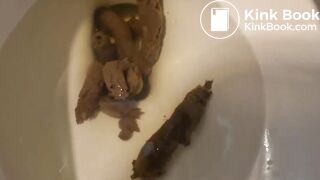 Tattooed Babe Toilet Compilation