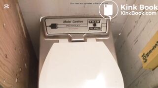 I once used one of these toilets