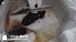 I once used one of these toilets