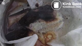 I once used one of these toilets