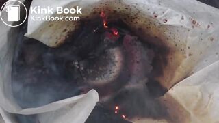 I once used one of these toilets