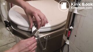 I once used one of these toilets