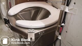 I once used one of these toilets