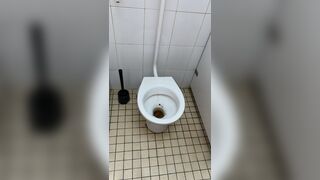 Shit farming small toilet