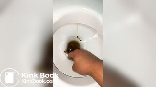 Shit farming small toilet