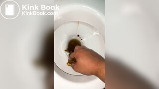 Shit farming small toilet