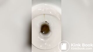 Shit farming small toilet