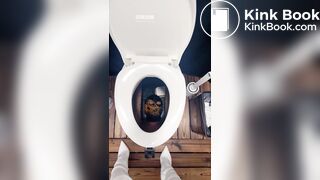 Goddess sera-下贱的马桶