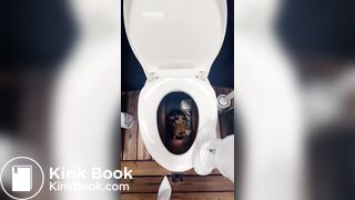 Goddess sera-下贱的马桶