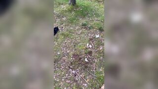 Someone had an accident - video 2