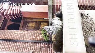 shitting on the shit fountain