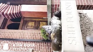 shitting on the shit fountain