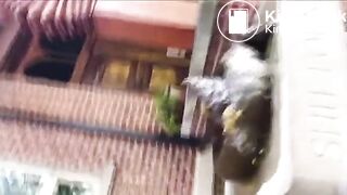 shitting on the shit fountain