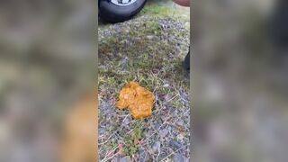 POO DESPERATION AT THE WOODS