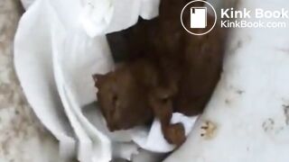 Married MILF poops in a field