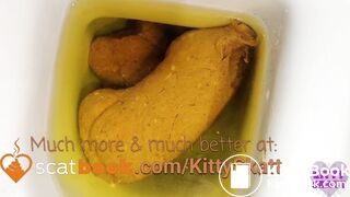 Sexy toilet shitting - video 2