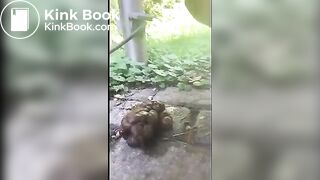 POO OUTDOORS - video 2