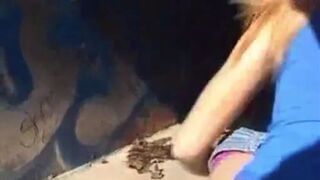 Big nice and firm poop from a ...