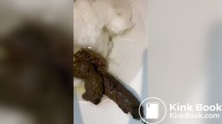 A beautiful toilet shit with a next level smell