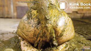 Kyra Sex First Experience In Cowshit