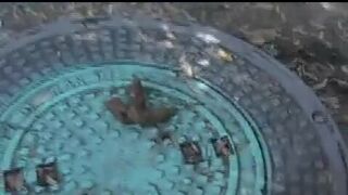 POO ON A PUT