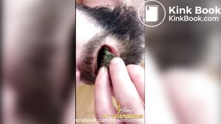 Cruel scat feeding