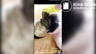 Cruel scat feeding