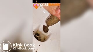 4 logs too big for india