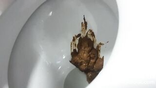 Interrupted by a Cat